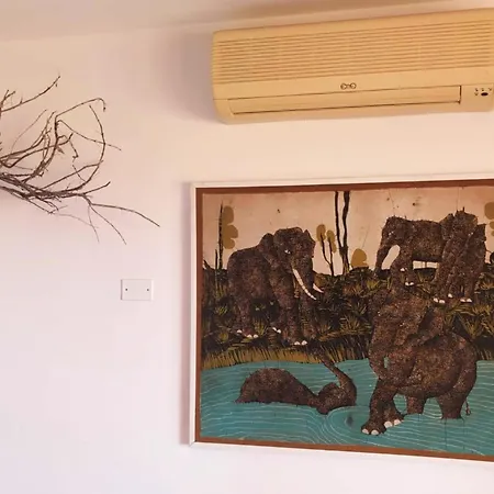La Conchiglia D'oro Castelsardo
