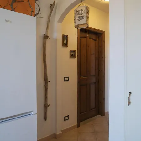 La Conchiglia D'oro *